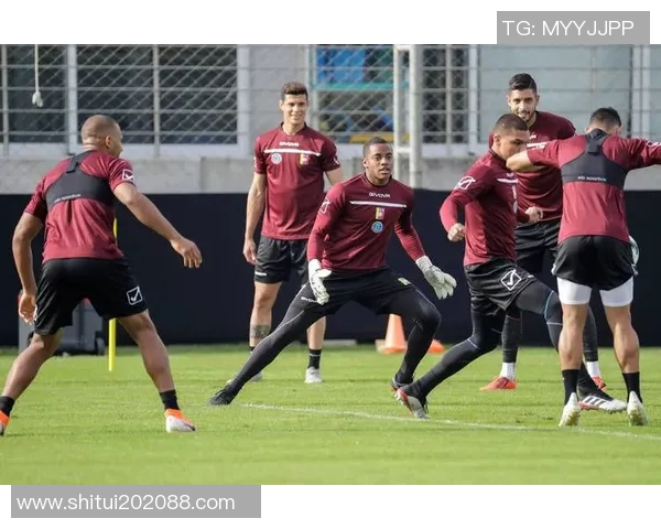 玻利维亚足球明星：揭示埃尔瓦迪亚与国家队的辉煌历程及贡献