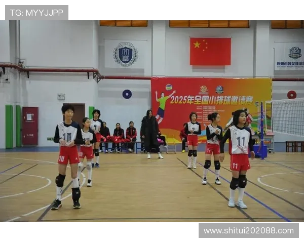 排球比赛经验排行榜揭晓北京排球队荣获第六名佳绩