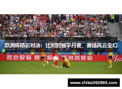 欧洲杯精彩对决：比利时憾平丹麦，赛场风云变幻