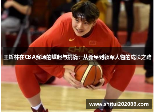 王哲林在CBA赛场的崛起与挑战：从新星到领军人物的成长之路